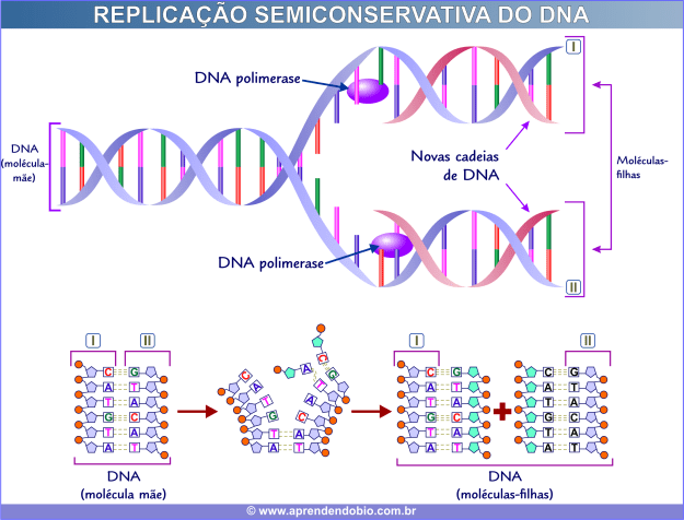 DNA | Aprendendo Biologia