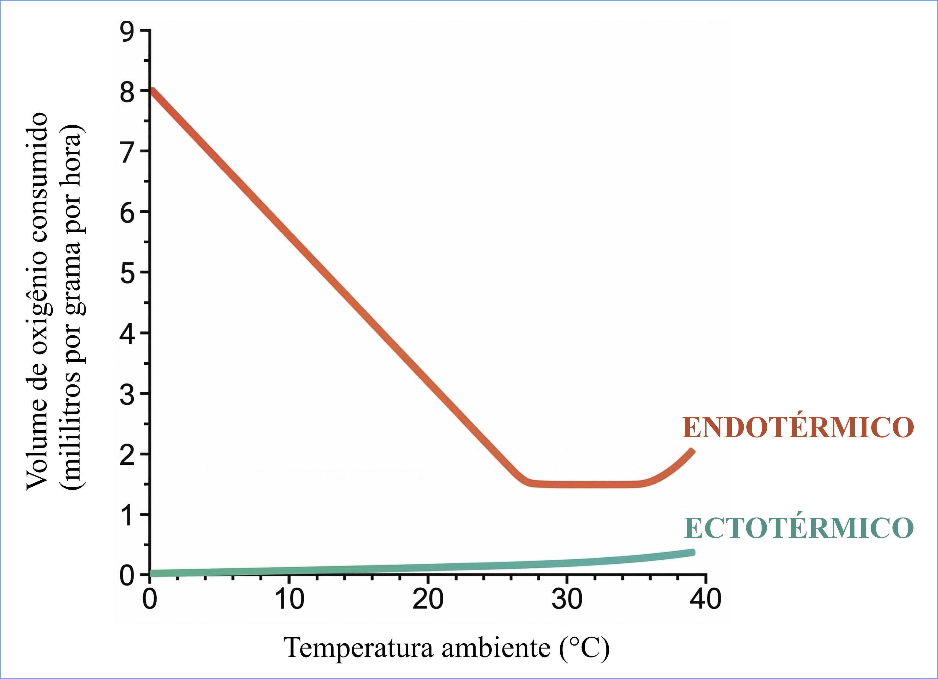 Gráfico comparando o consumo de oxigênio de ectotérmicos e endotérmicos em diferentes temperaturas ambientais.