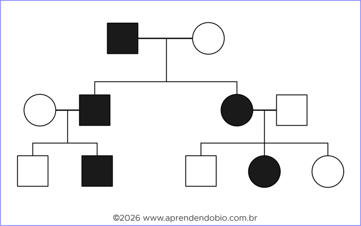 Heredograma com indivíduos afetados em gerações consecutivas, incluindo homens e mulheres afetados e transmissão direta de pai para filho, em padrão compatível com herança autossômica dominante.