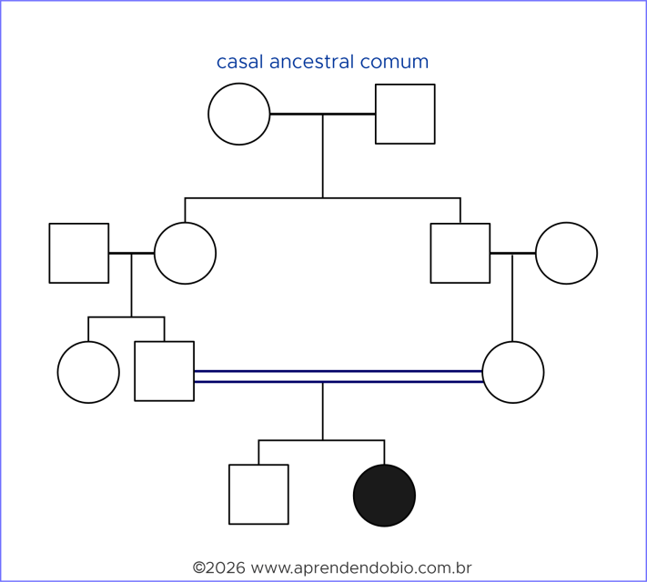 Heredograma mostrando união consanguínea entre indivíduos aparentados que descendem de um casal ancestral comum, com descendente afetado por fenótipo autossômico recessivo.