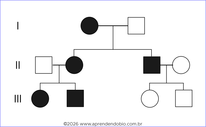 Heredograma com mulher afetada transmitindo o fenótipo a filhos e filhas, enquanto homem afetado em outro ramo não o transmite à descendência, em padrão compatível com herança mitocondrial.