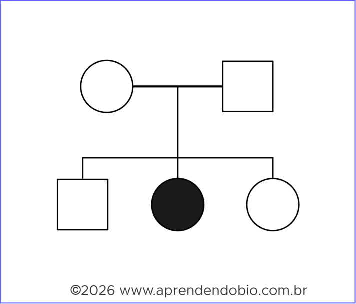 Heredograma com pais não afetados e descendente afetado, ilustrando padrão compatível com herança autossômica recessiva.
