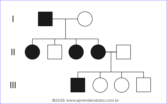 Heredograma com homem afetado na primeira geração, filhas afetadas e filho não afetado na segunda geração, além de descendência mista a partir de mulher afetada, em padrão compatível com herança ligada ao X dominante.