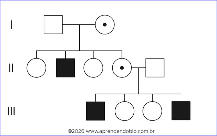Heredograma com mulheres portadoras em duas gerações, filhos homens afetados e ausência de transmissão direta de pai para filho, em padrão compatível com herança ligada ao X recessiva.