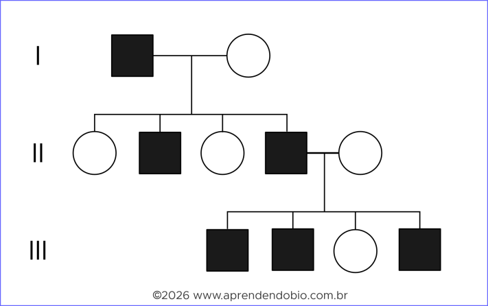 Heredograma com homens afetados em gerações sucessivas, transmissão direta de pai para filho e mulheres não afetadas, em padrão compatível com herança ligada ao Y.