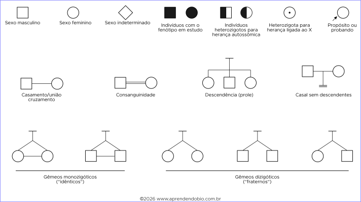 Prancha com símbolos básicos de heredogramas, incluindo masculino, feminino, indivíduo afetado, heterozigoto, probando, união, descendência, consanguinidade e representação de gêmeos monozigóticos e dizigóticos.