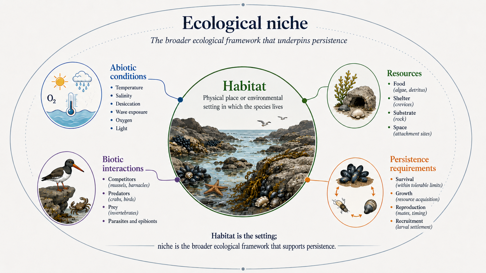 Conceptual diagram showing habitat as the environmental setting and ecological niche as the broader framework that includes abiotic conditions, resources, biotic interactions, and persistence requirements.