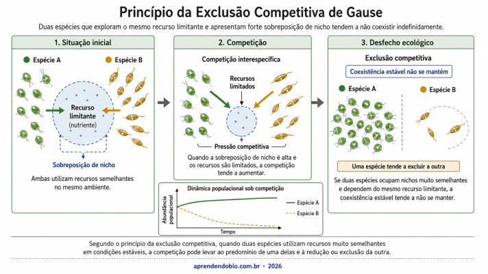 Esquema sobre exclusão competitiva de Gause, mostrando duas espécies com sobreposição de nicho competindo pelo mesmo recurso limitante até a redução de uma população.