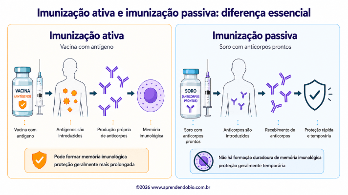 Infográfico comparando imunização ativa e imunização passiva, mostrando vacina com antígeno estimulando produção própria de anticorpos e memória imunológica, e soro com anticorpos prontos promovendo proteção rápida e temporária.
