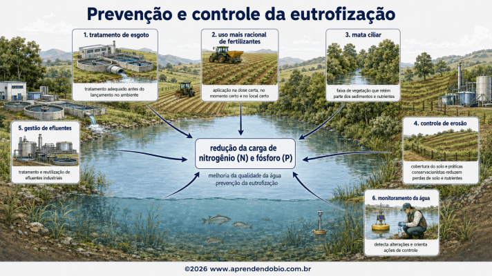 Medidas de prevenção e controle da eutrofização, incluindo tratamento de esgoto, manejo de fertilizantes, mata ciliar, controle de erosão, gestão de efluentes e monitoramento.